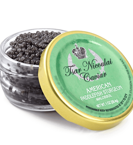 Tsar Nicoulai American Paddlefish Sturgeon Roe